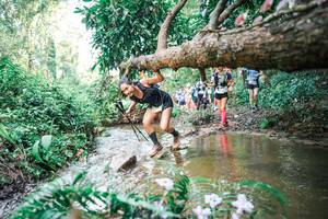 BIB: 
                            <button type="button" onclick="openModal(25516136)" class="btn btn-primary btn-sm float-right btn-popup" data-toggle="modal" data-target=".modal-high-quality">
                        <i class="fas fa-shopping-cart"></i> Add to Cart
                    </button>
                                            <button type="button" onclick="isThisMe(25516136, true)" class="btn btn-success btn-sm float-right btn-popup btn-isme hidden" data-toggle="tooltip" data-placement="bottom" title="นี่คือรูปของคุณใช่ไหม คลิกที่นี่เพื่อเอาเข้าอัลบั้ม">
                        <i class="fas fa-plus"></i> Add to album
                    </button>
                    <button type="button" onclick="isThisMe(25516136, false)" class="btn btn-warning btn-sm float-right btn-popup btn-isnotme hidden">
                        <i class="fas fa-ban"></i> Remove from album
                    </button>